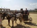 Driving a Chariot