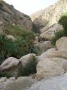 Ein Gedi