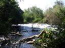 Dan river