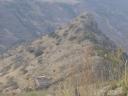 Gamla