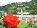 Bahai Gardens